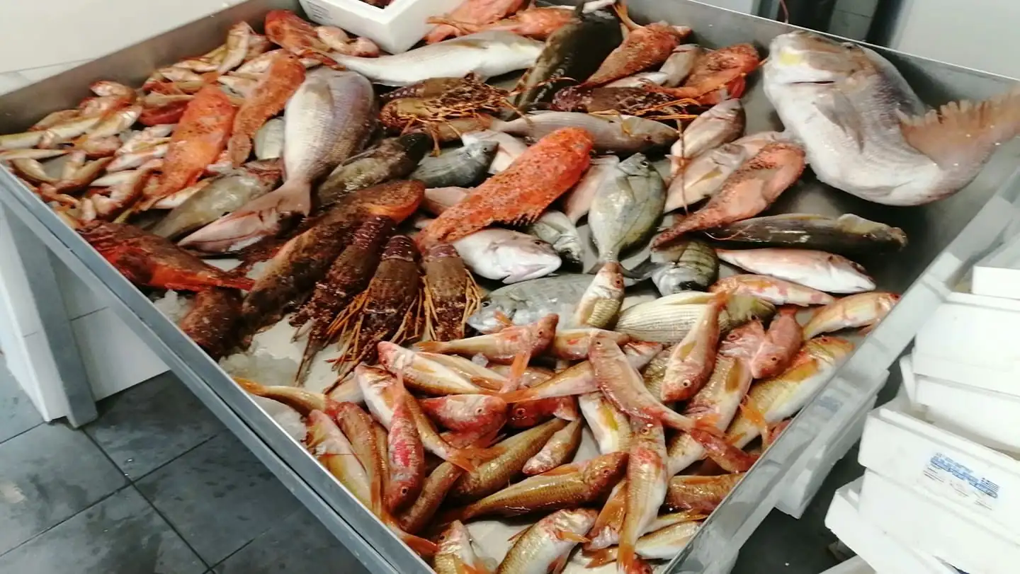 Premium fresh Aegean seafood selection at Skiathos Fish Market, 48 Ethnikis Antistaseos